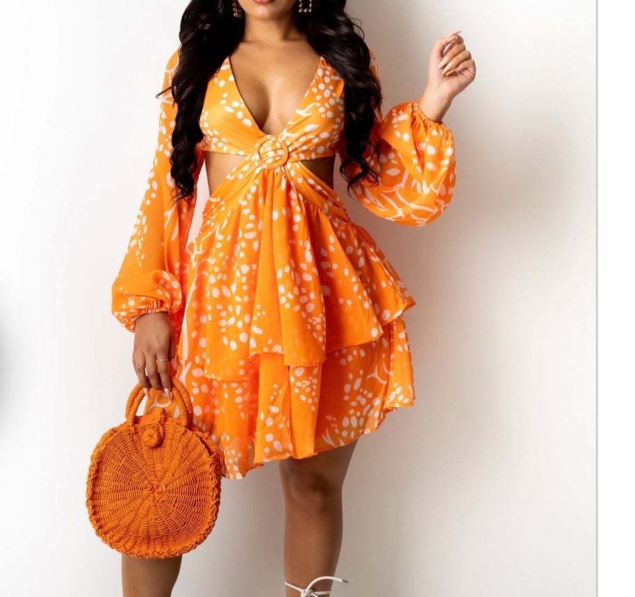 Valencia Swing Dress