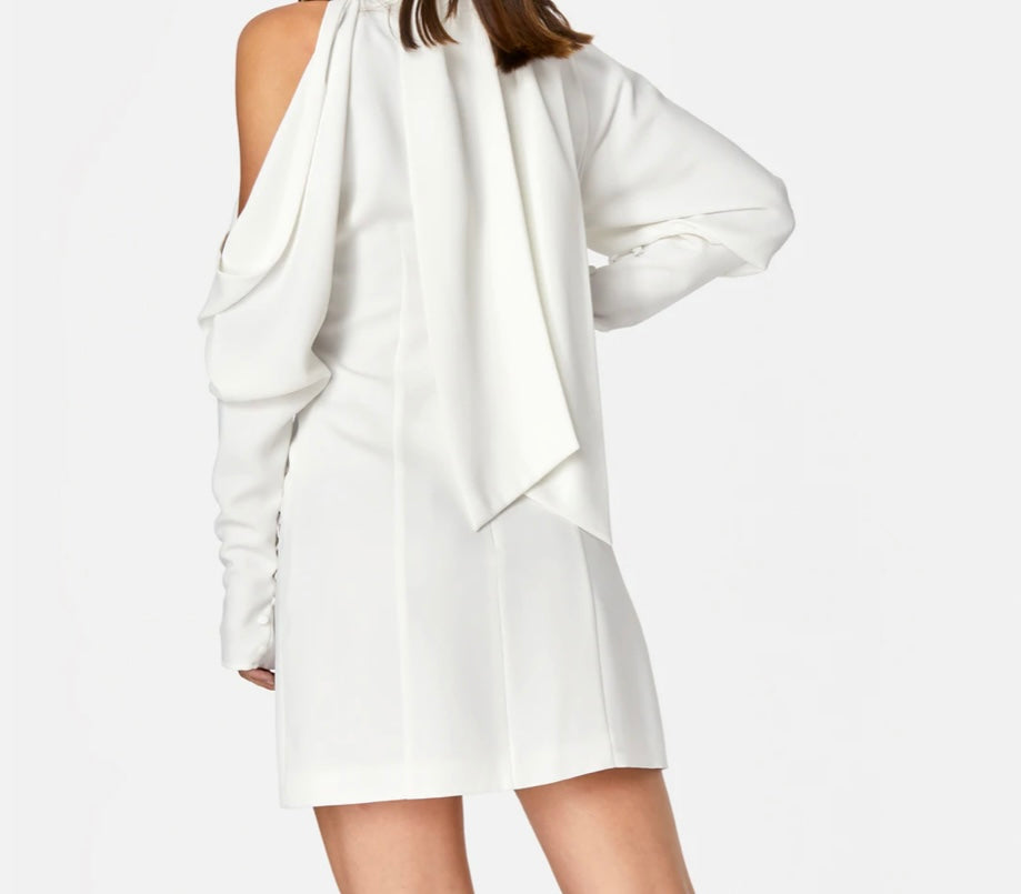 Naomi Draped Sleeve Dress